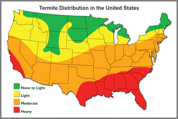 New Termite Map